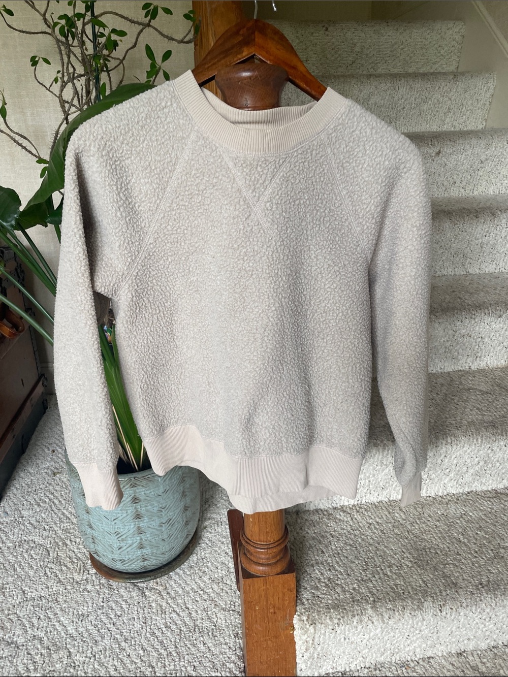 Everlane Renew Fleece Raglan Cream Sherpa Crewneck Sweatshirt